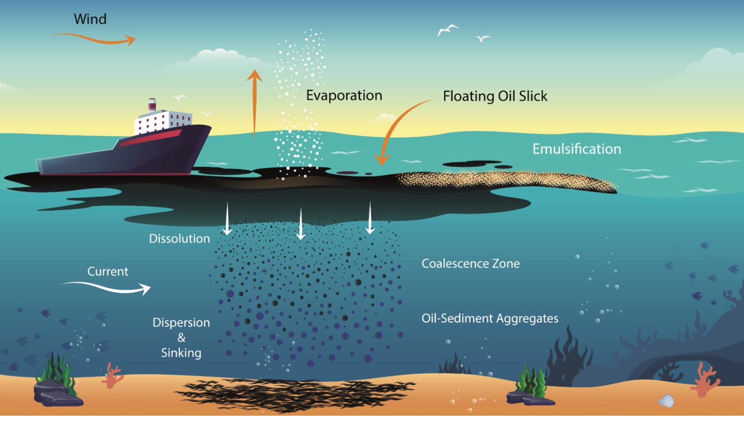 Diagram of oil weathering processes: evaporation, emulsification, dissolution, and dispersion into the water column