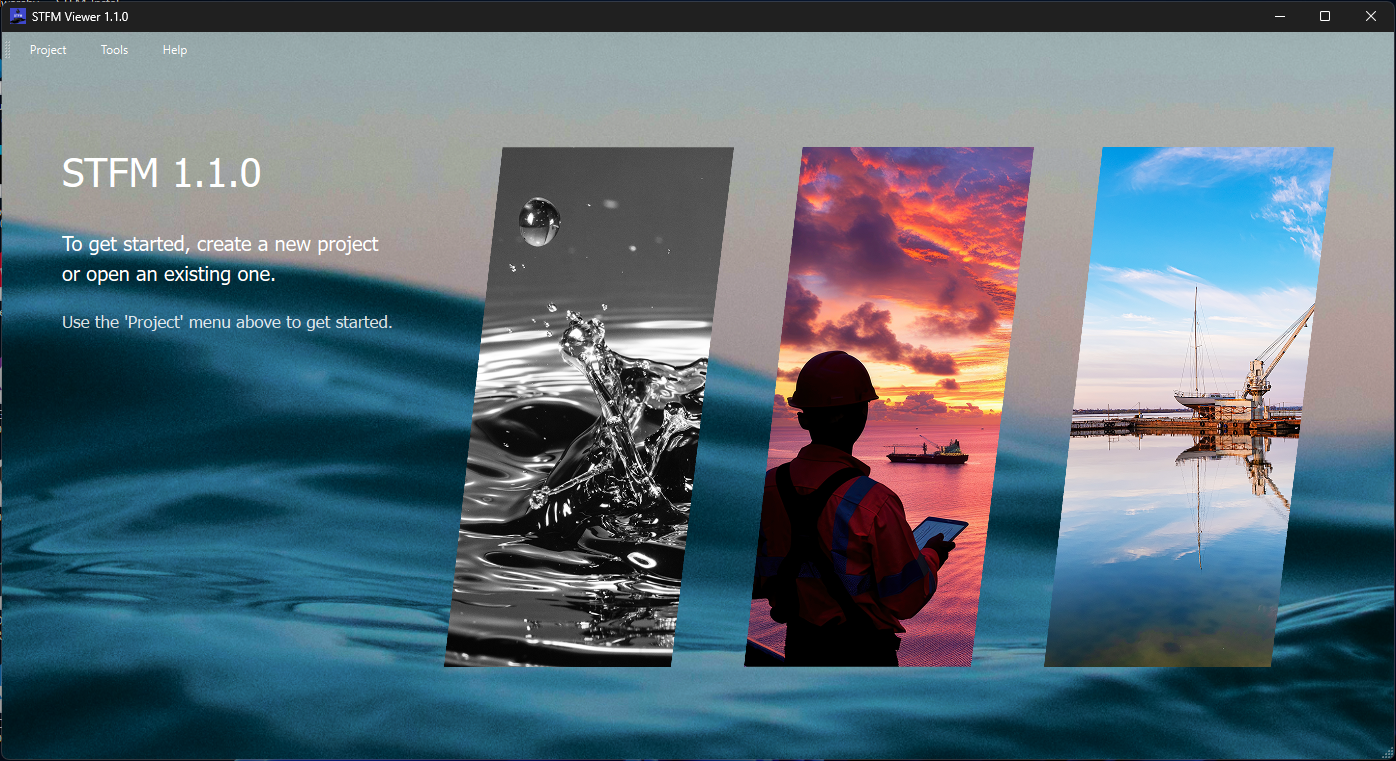 Figure 2: STFM start screen